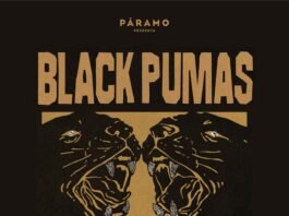 Black Pumas