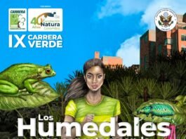 Carrera Verde Colombia 2024
