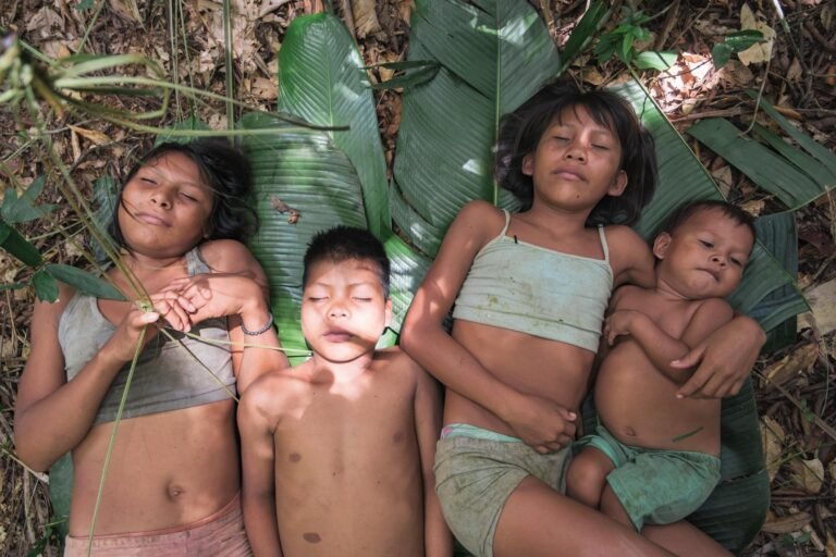 40 Días Perdidos en la Selva