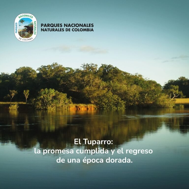 Colombia Natural: 5 Joyas que te esperan en 2025