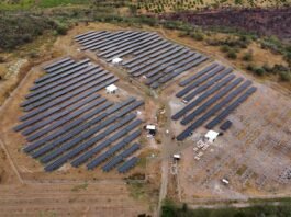 Invierte en energía solar con Evolti: mini granja en la Costa Atlántica