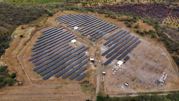 Invierte en energía solar con Evolti: mini granja en la Costa Atlántica