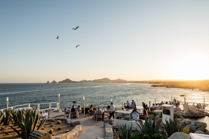 De la Granja a la Mesa: La Riqueza Culinaria y Sostenible de Los Cabos, Baja California Sur