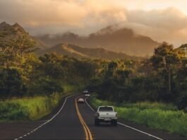 Movilidad Autónoma: Demanda de Alquiler de Vehículos Crece en Diciembre