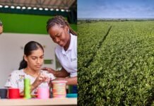 GreenLand: el modelo de agricultura regenerativa que transforma Urabá y Caldas Sostenibilidad y Negocios: El Éxito del Grupo GreenLand en Desarrollo de Territorios