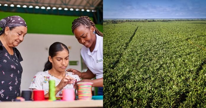 Sostenibilidad y Negocios: El Éxito del Grupo GreenLand en Desarrollo de Territorios