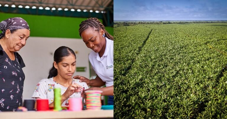 GreenLand: el modelo de agricultura regenerativa que transforma Urabá y Caldas