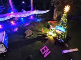 Navidad en Bogotá: Guía para visitar el Lumina Fest 2025