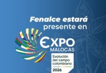 Fenalce en ExpoMalocas 2026: Claves del éxito agrícola en el Meta Producción de soya y maíz en el Meta: cifras y retos para 2026