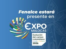 Fenalce en ExpoMalocas 2026: Claves del éxito agrícola en el Meta Producción de soya y maíz en el Meta: cifras y retos para 2026