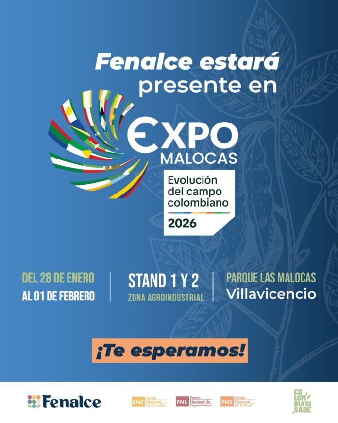 Producción de soya y maíz en el Meta: cifras y retos para 2026