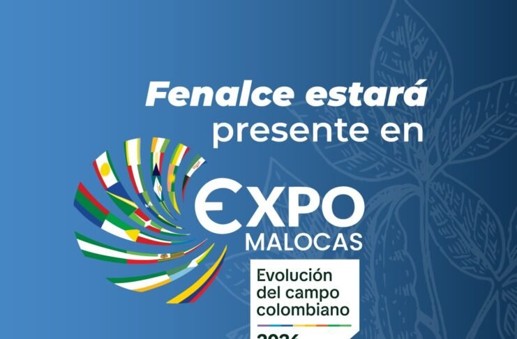 Producción de soya y maíz en el Meta: cifras y retos para 2026