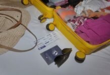 Wingo lanza promociones 2026: Vuelos nacionales desde $89.999 Ofertas Wingo 2026: Cómo comprar tiquetes baratos a destinos nacionales