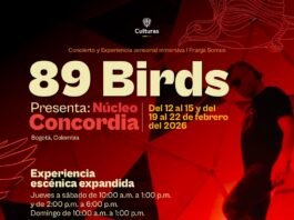 Agenda Cultural Bogotá: Lo que trae el Centro Nacional de las Artes en 2026