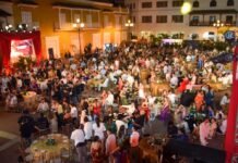 Premios India Catalina 2026: Lista completa de pre-nominados 42º Premios India Catalina: Favoritos y sorpresas de la pre-nominación