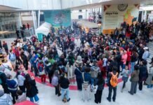 Día de los Pueblos Indígenas en Bogotá: El IV Encuentro Abya Yala llega al CNA IV Encuentro Abya Yala: Programación de arte indígena en el Centro Nacional de las Artes