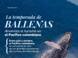 Avistamiento de ballenas impulsa el turismo en el Pacífico colombiano