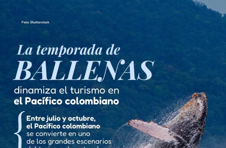 Avistamiento de ballenas impulsa el turismo en el Pacífico colombiano