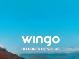 Wingo amplía conexión entre Bucaramanga y Santa Marta