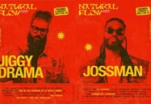 Disco Jaguar celebra 17 años con el Natural Flow Fest Natural Flow Fest: 17 años de Disco Jaguar en Chapinero