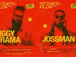 Natural Flow Fest: 17 años de Disco Jaguar en Chapinero