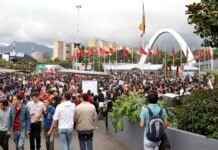 Las aficiones que reúne SOFA también mueven industrias alrededor del mundo SOFA 2026 reúne la cultura del tiempo libre y los mercados globales